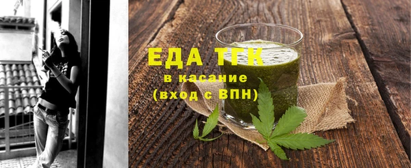 индика Абаза