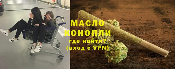 индика Абаза
