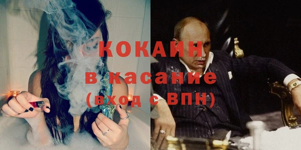 индика Абаза