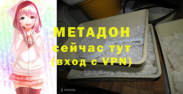 индика Абаза