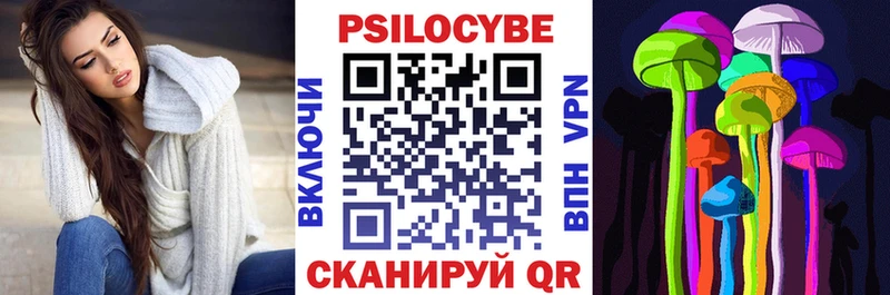 Псилоцибиновые грибы Psilocybe  Троицк 